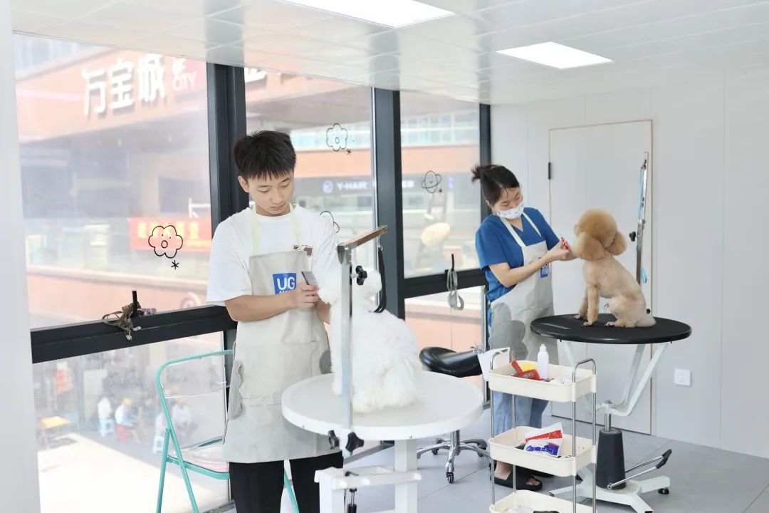 需求量激增，价格上涨，不少上海人根本排不上！有人提前2个月预定......