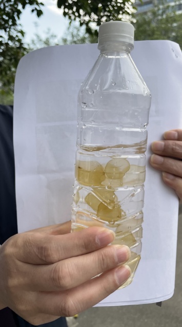 广州海边密集出现“爆爆珠”?多地紧急提醒! 广州海边密集出现“爆爆珠”?多地紧急提醒!