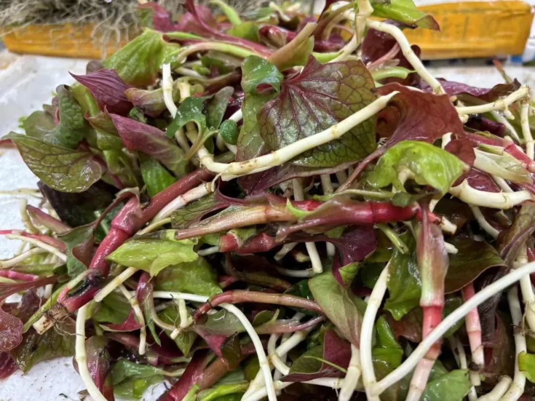 吃折耳根的人都沉默了！重庆人：两眼一黑，只希望是幻觉