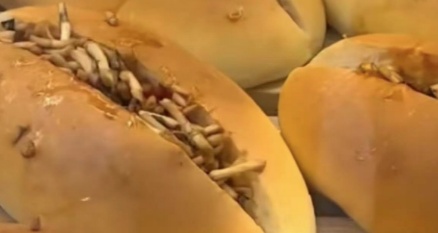 吃折耳根的人都沉默了！重庆人：两眼一黑，只希望是幻觉