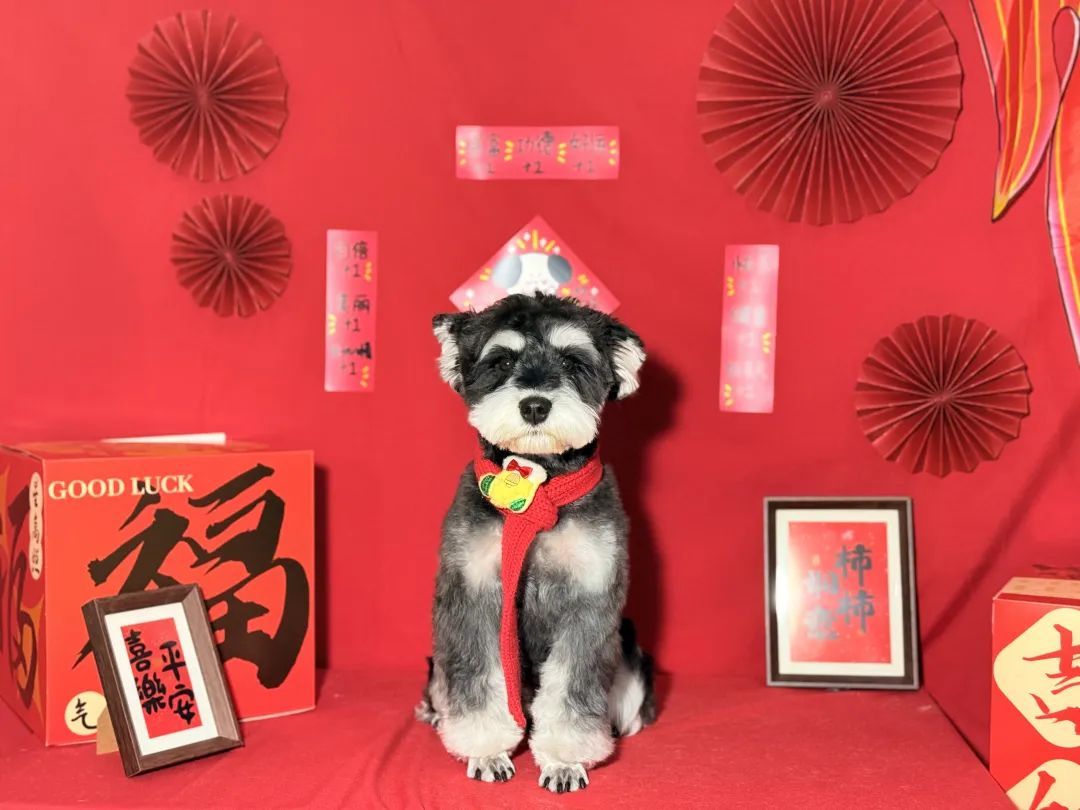 需求量激增，价格上涨，不少上海人根本排不上！有人提前2个月预定......