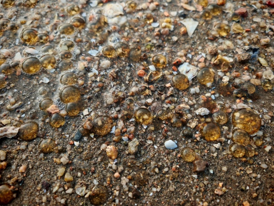 广州海边密集出现“爆爆珠”?多地紧急提醒! 广州海边密集出现“爆爆珠”?多地紧急提醒!