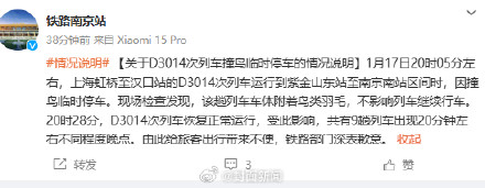 官方通报：D3014次列车因撞鸟临时停车
