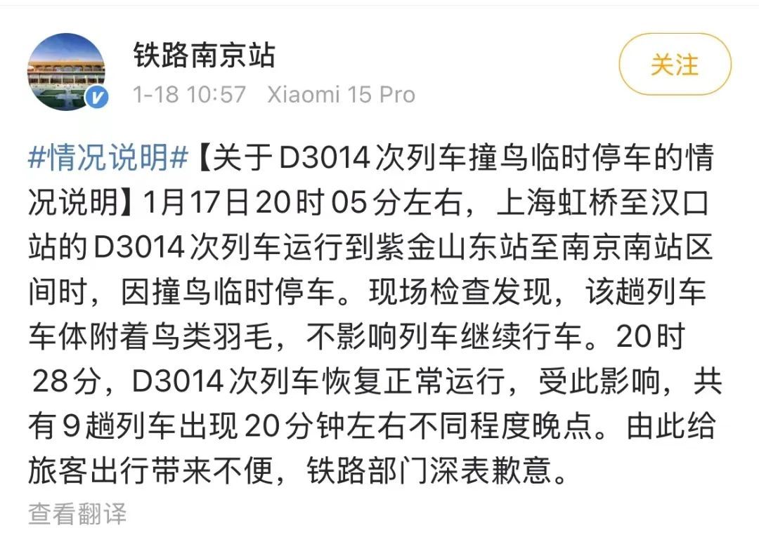 “因撞鸟临时停车”！列车撞鸟，影响有多大？