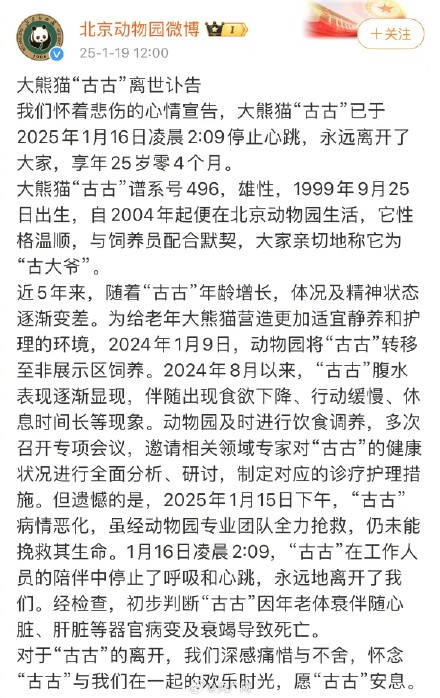大熊猫古古离世享年25岁零4个月