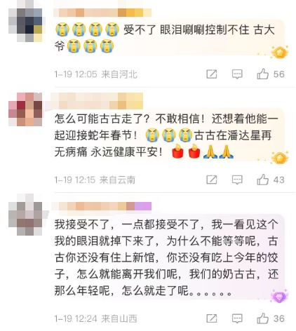 消息传来:"古大爷"已离世,享年25岁!原因披露→ 消息传来:"古大爷"已离世,享年25岁!原因披露→