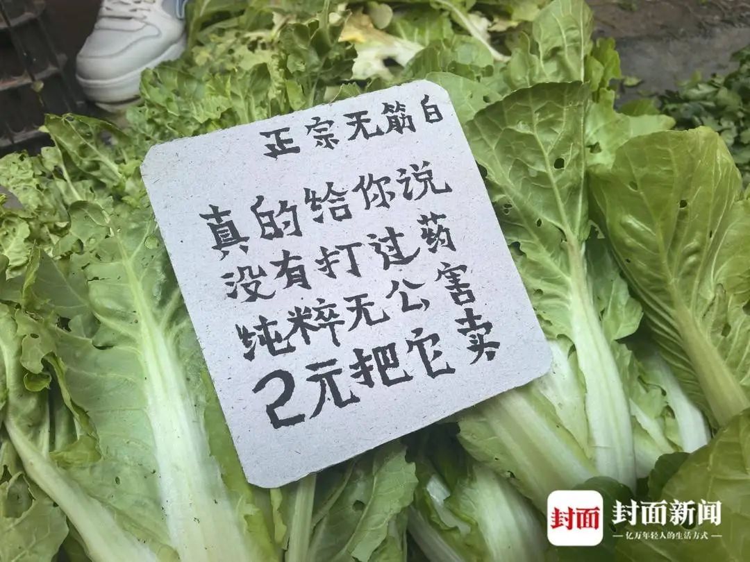 “最会写打油诗的卖菜大爷”出现了！不在意嘲笑，开心就好