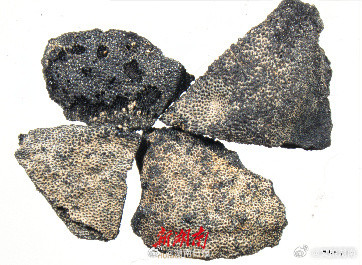 李家岗遗址发现长江中游最早古稻田