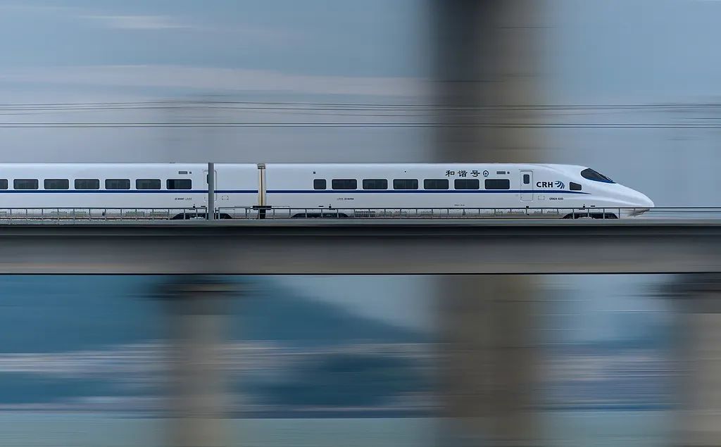 “因撞鸟临时停车”！列车撞鸟，影响有多大？