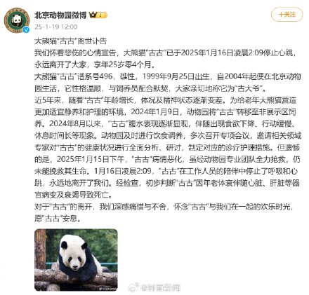 北京动物园:大熊猫古古去世 北京动物园:大熊猫古古去世