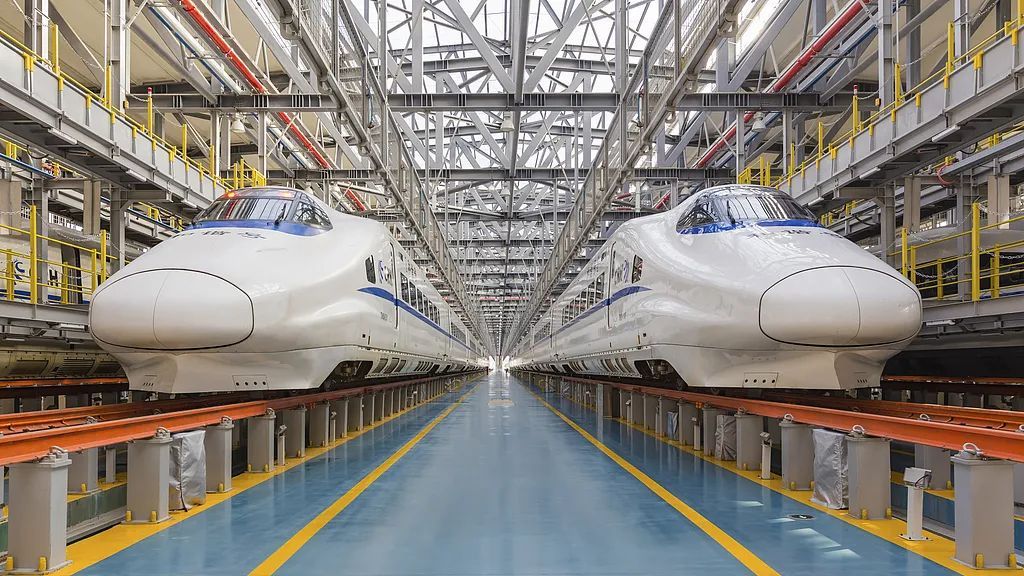 “因撞鸟临时停车”！列车撞鸟，影响有多大？