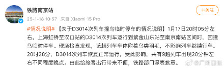 动车撞鸟造成9趟列车晚点，高铁列车为何这么怕鸟？