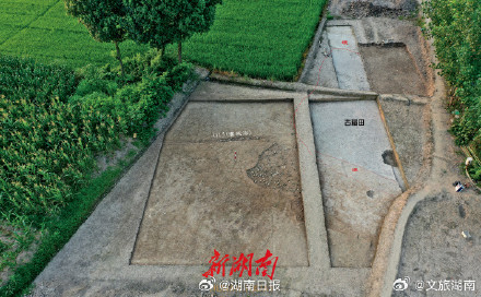 李家岗遗址发现长江中游最早古稻田