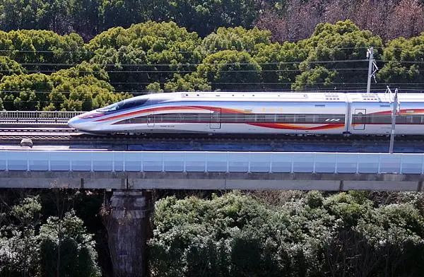 “因撞鸟临时停车”！列车撞鸟，影响有多大？