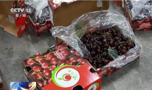 为什么车厘子一个月到中国却不腐烂? 为什么车厘子一个月到中国却不腐烂?