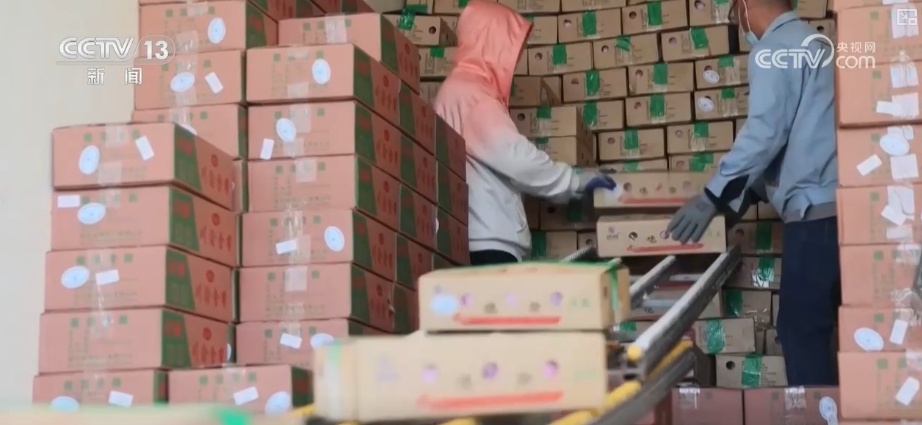 “冷链+”助“燃”“舌尖上的经济” 高品质食材“走”上百姓节日餐桌