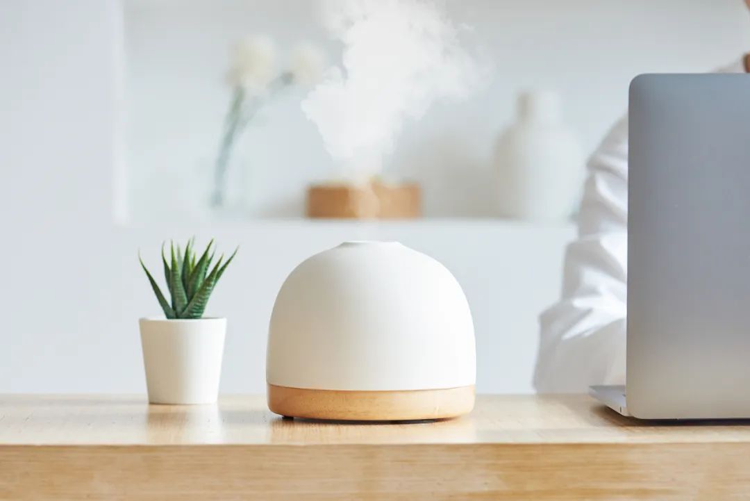 热成“春天”!广东多地已“变红”!别大意,春节前天气会有大变化 热成“春天”!广东多地已“变红”!别大意,春节前天气会有大变化