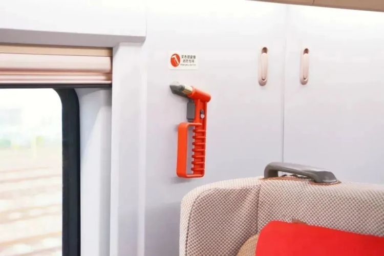 “列车撞上飞鸟”！撞击力相当于一颗“子弹”，怎么防？