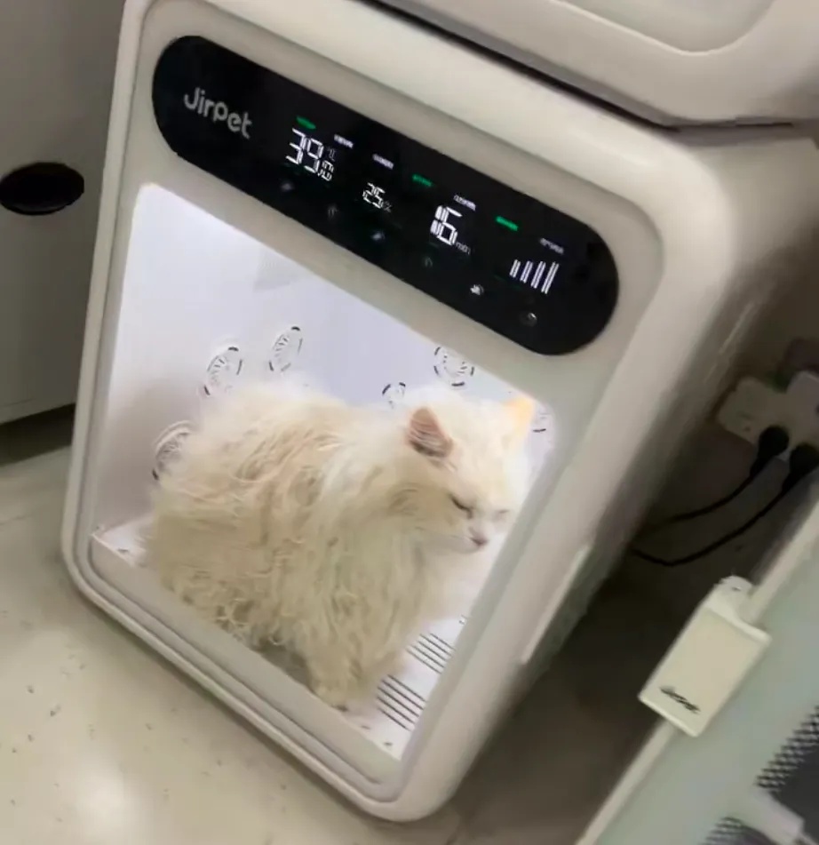 价格上涨!根本排不到,有人提前2个月预定,网友:有必要吗? 价格上涨!根本排不到,有人提前2个月预定,网友:有必要吗?