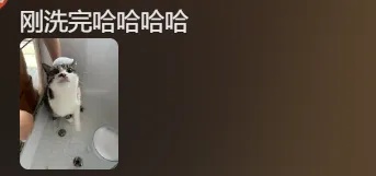 价格上涨!根本排不到,有人提前2个月预定,网友:有必要吗? 价格上涨!根本排不到,有人提前2个月预定,网友:有必要吗?