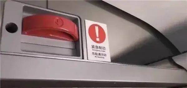 “列车撞上飞鸟”！撞击力相当于一颗“子弹”，怎么防？