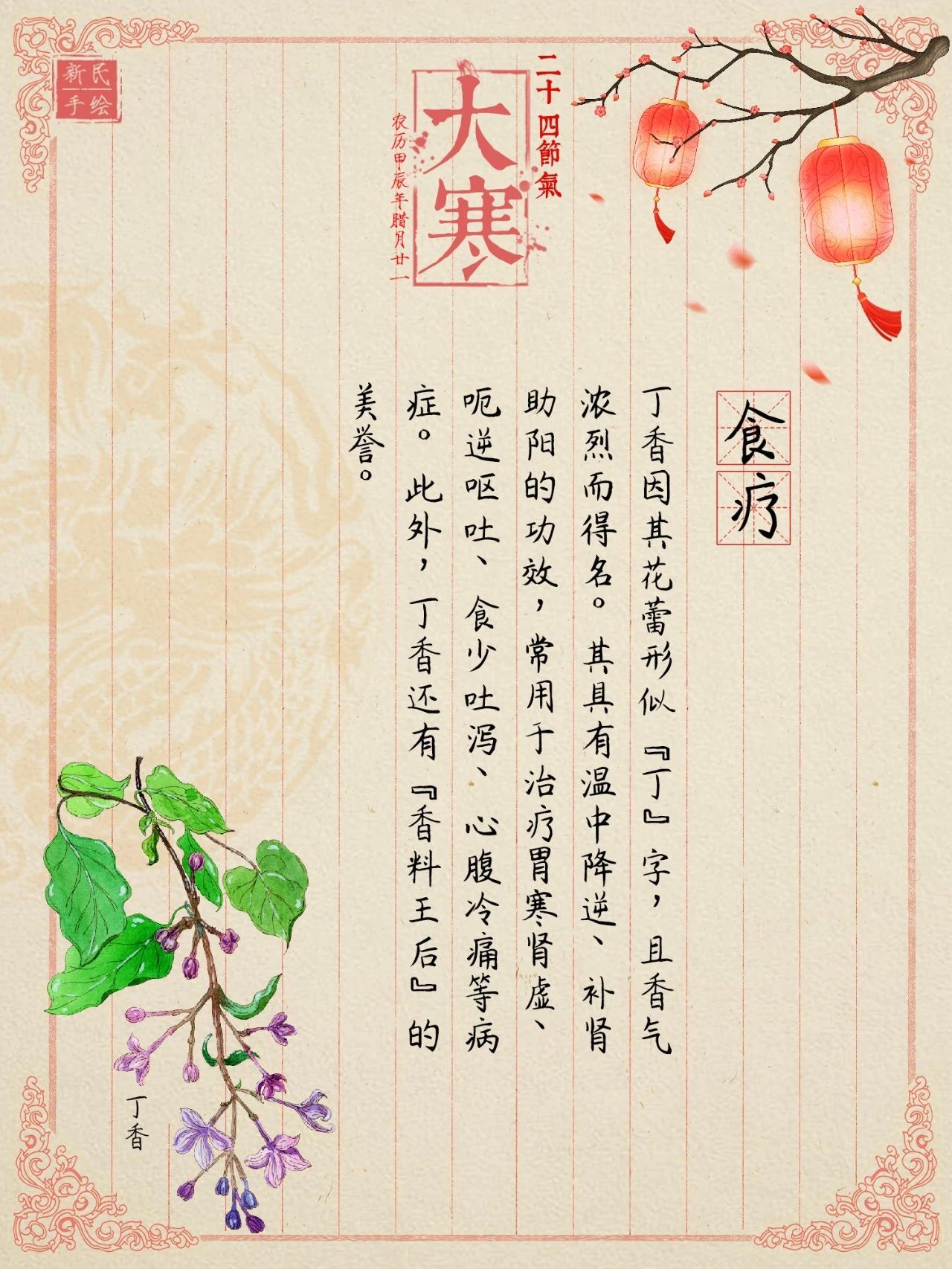 大寒 | 体寒怕冷？饮食试试加这朵小花，温肾助阳