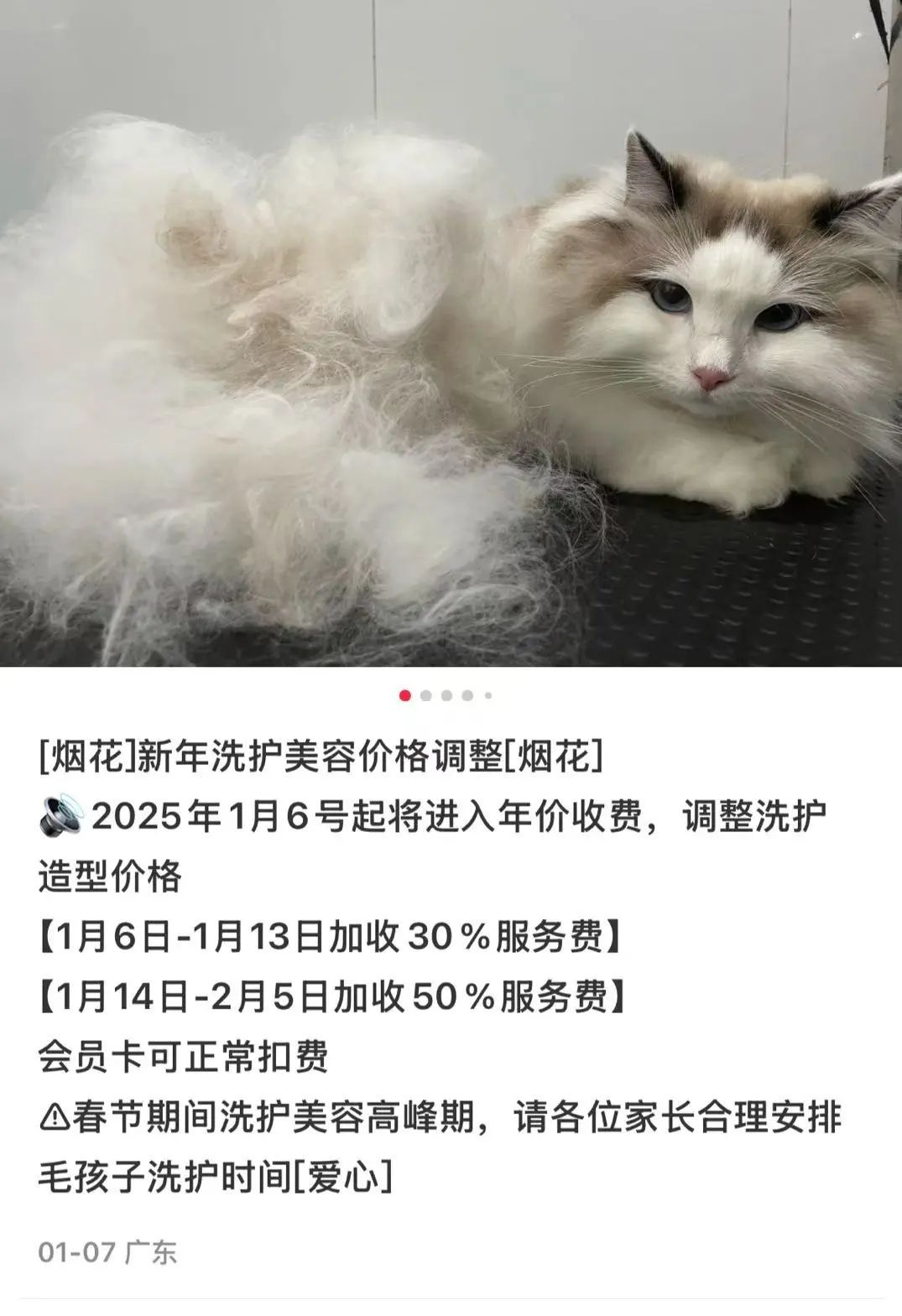 突然爆火！涨价30%，但是都约满了！