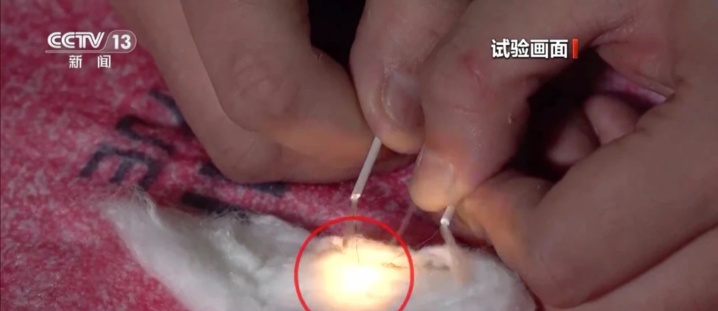 别让温暖“神器”变“凶器”!事关取暖安全 这些知识要了解 别让温暖“神器”变“凶器”!事关取暖安全 这些知识要了解