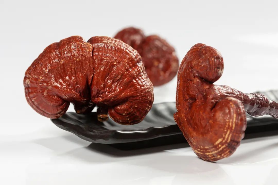 热成“春天”!广东多地已“变红”!别大意,春节前天气会有大变化 热成“春天”!广东多地已“变红”!别大意,春节前天气会有大变化