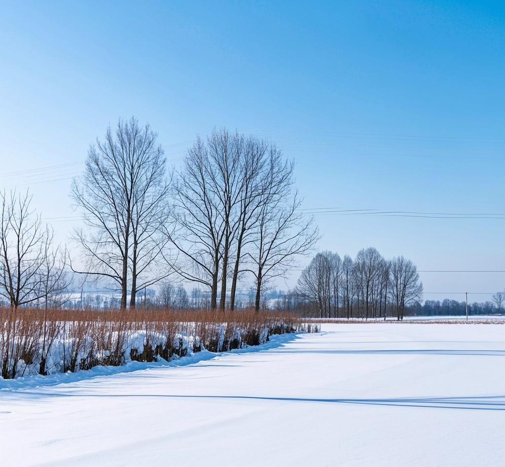 二十四节气 | 大寒迎年，欢喜团圆