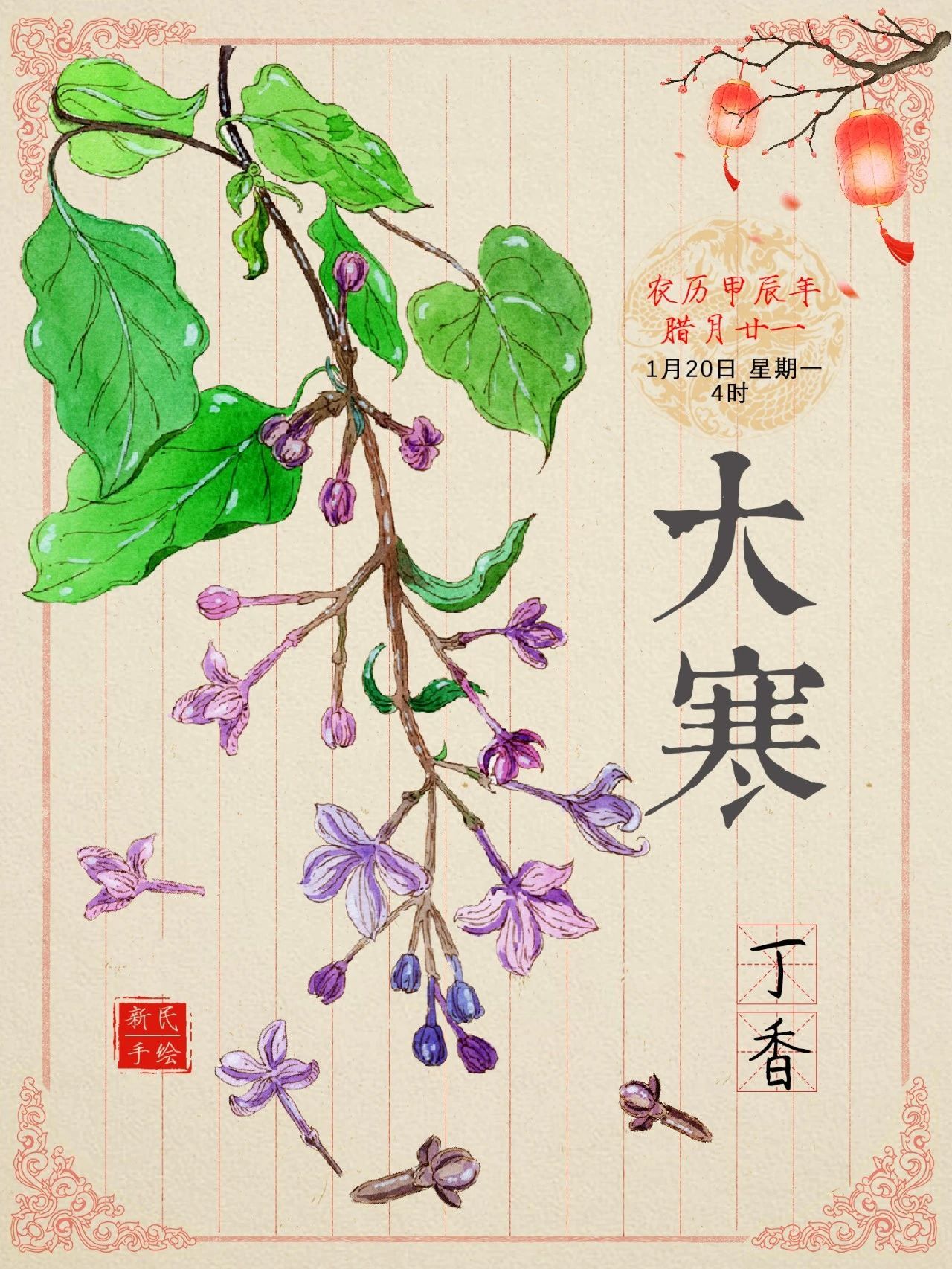 大寒 | 体寒怕冷？饮食试试加这朵小花，温肾助阳