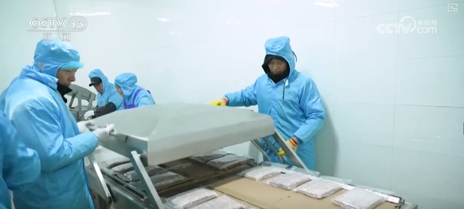 “冷链+”助“燃”“舌尖上的经济” 高品质食材“走”上百姓节日餐桌