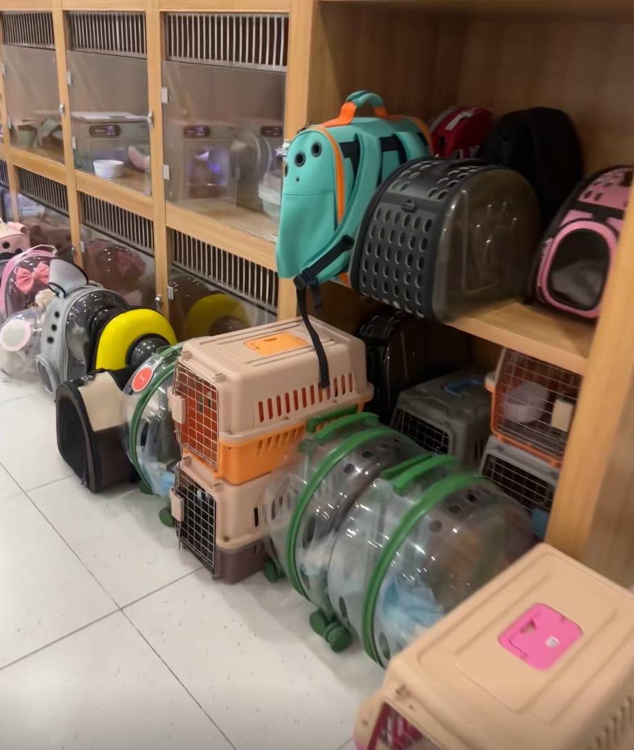 价格上涨!根本排不到,有人提前2个月预定,网友:有必要吗? 价格上涨!根本排不到,有人提前2个月预定,网友:有必要吗?