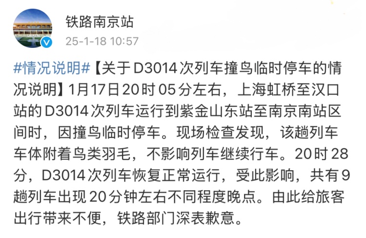 “列车撞上飞鸟”！撞击力相当于一颗“子弹”，怎么防？