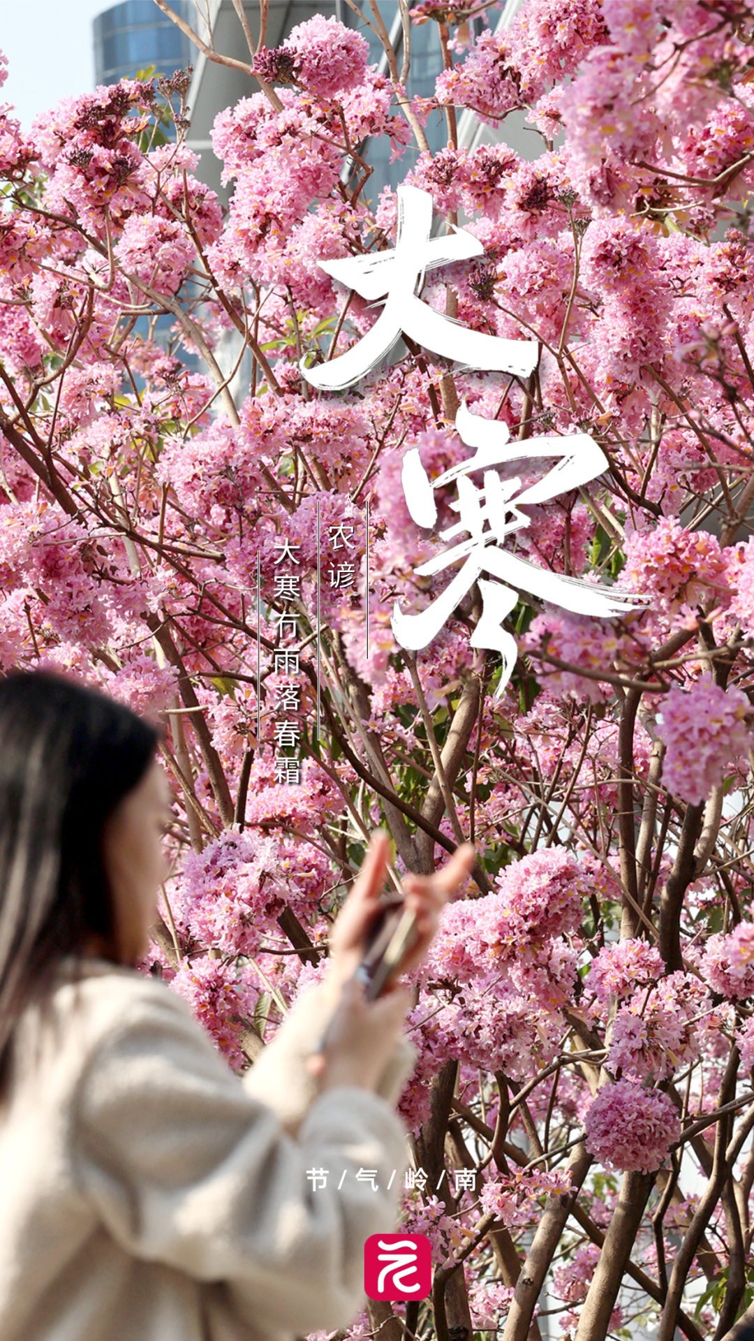 热成“春天”!广东多地已“变红”!别大意,春节前天气会有大变化 热成“春天”!广东多地已“变红”!别大意,春节前天气会有大变化