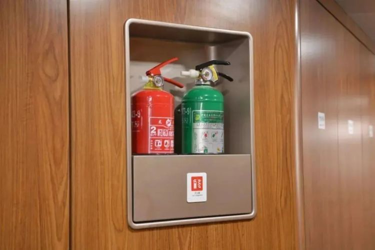 “列车撞上飞鸟”！撞击力相当于一颗“子弹”，怎么防？