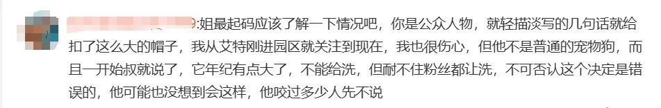 网红小狗洗澡时突发心脏病去世……千万粉丝博主道歉并否认蹭流量