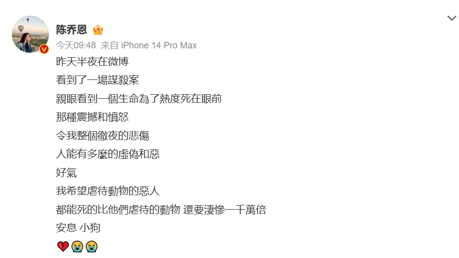网红小狗洗澡时突发心脏病去世……千万粉丝博主道歉并否认蹭流量