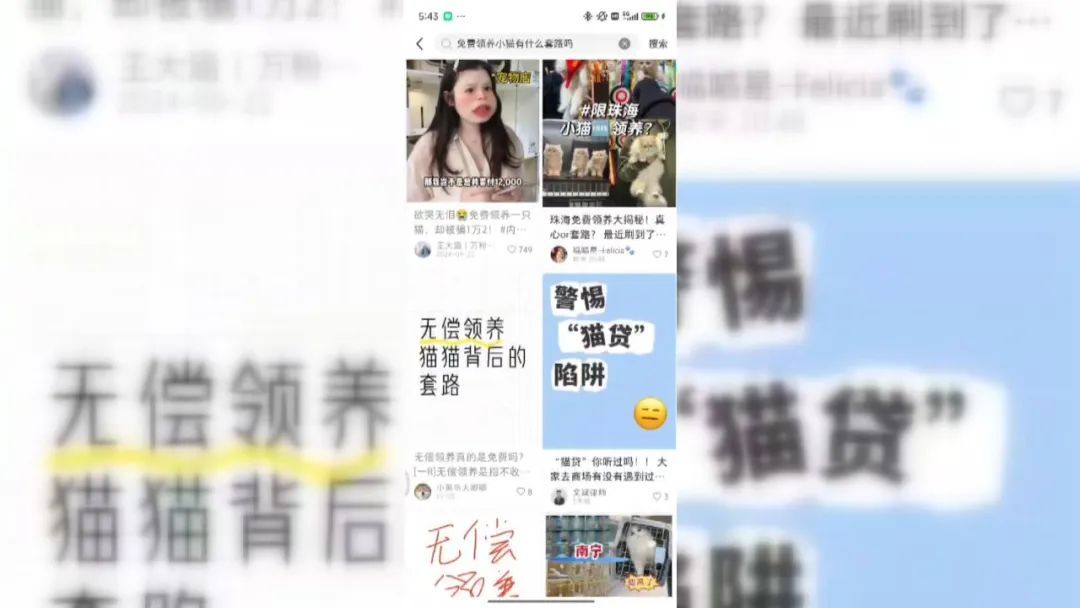 警惕！南宁已有多人上当， “免费领养”背后暗藏猫腻