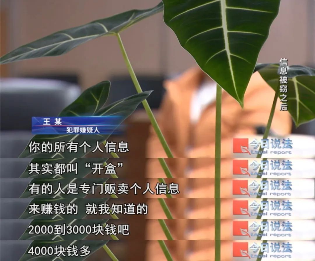 2000余名网红被“开盒”，个人信息被泄露，嫌疑人获利几十万元……