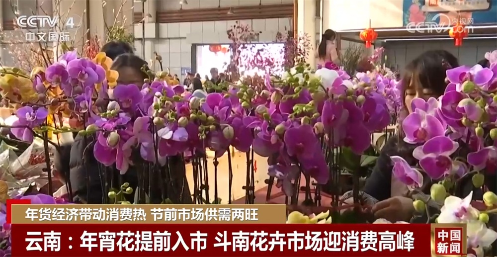 “年货经济”带动消费火热人气旺 节前市场琳琅满目年味足 “年货经济”带动消费火热人气旺 节前市场琳琅满目年味足