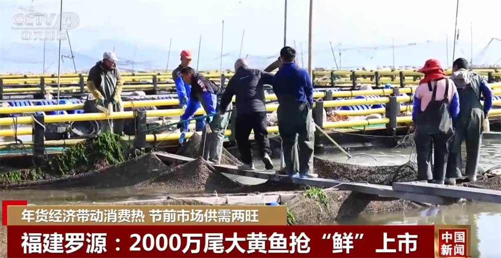 “年货经济”带动消费火热人气旺 节前市场琳琅满目年味足 “年货经济”带动消费火热人气旺 节前市场琳琅满目年味足