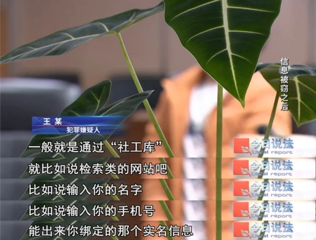 2000余名网红被“开盒”，个人信息被泄露，嫌疑人获利几十万元……