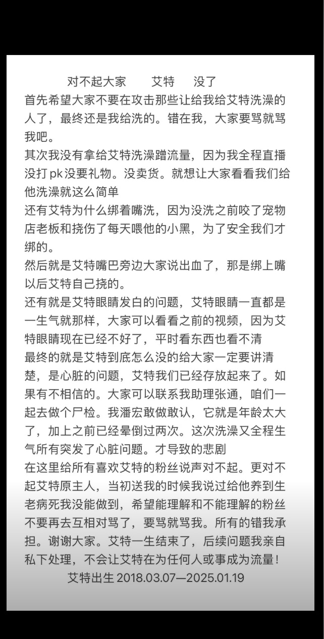 网红小狗洗澡时突发心脏病去世……千万粉丝博主道歉并否认蹭流量