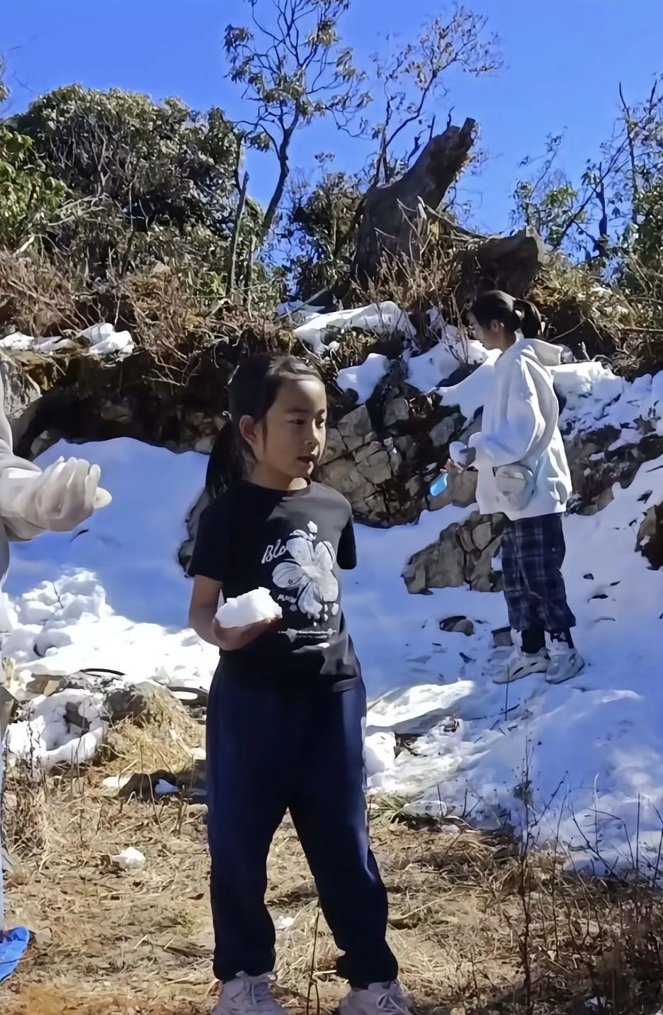 急寻！云南8岁女童在山上失联3天