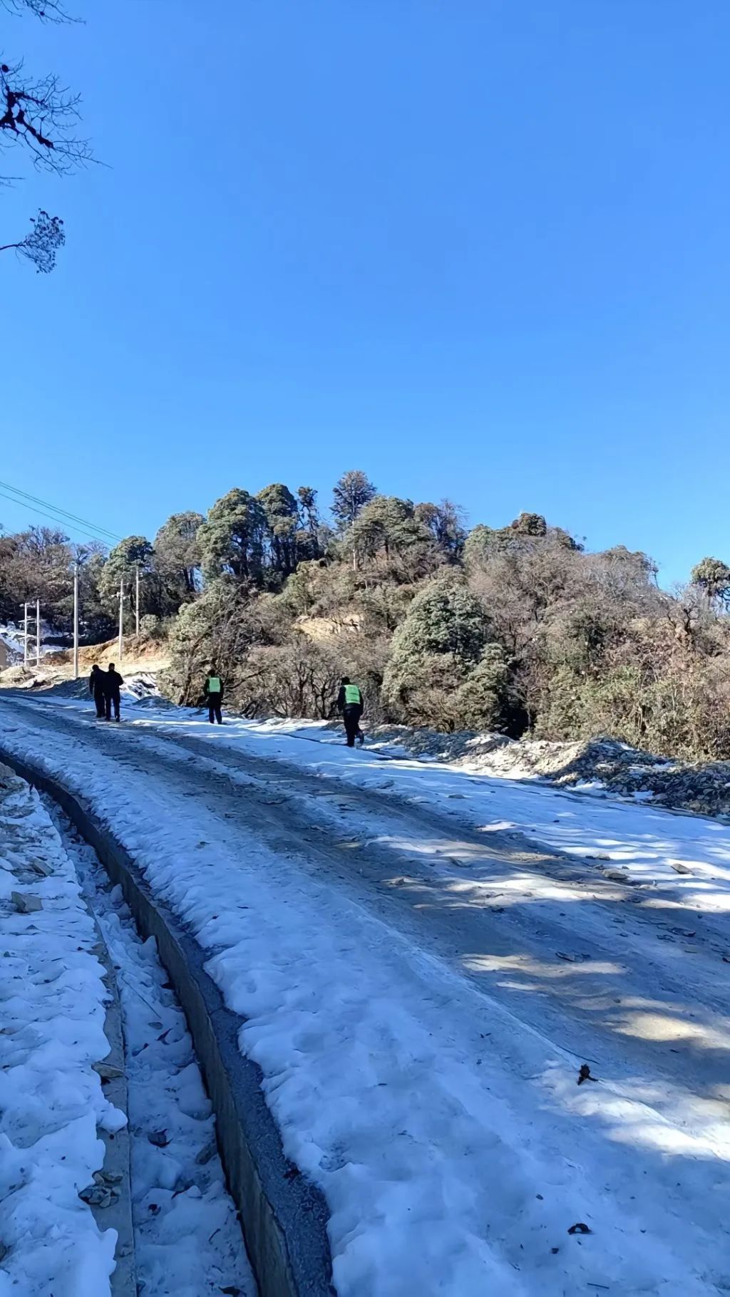 急寻！云南8岁女童在山上失联3天