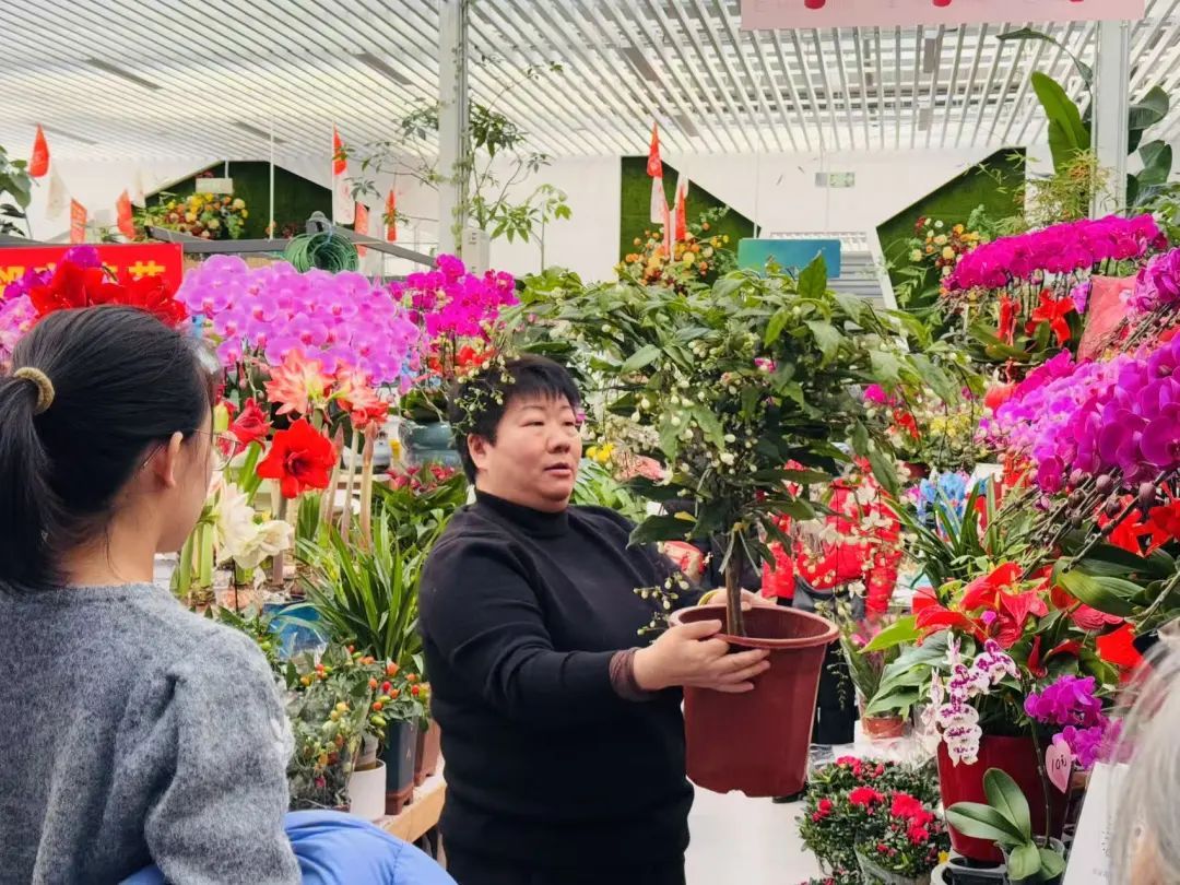 市市如意过大年——逛花市过大年,点燃 “美丽经济”迎团圆 市市如意过大年——逛花市过大年,点燃 “美丽经济”迎团圆