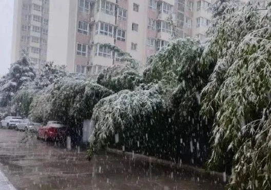 零下22℃！大雪、暴雪！陕西最新预警！西安雨雨雨雪雪雪！紧急提醒！