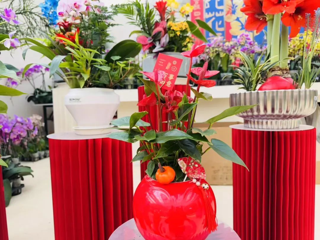 市市如意过大年——逛花市过大年,点燃 “美丽经济”迎团圆 市市如意过大年——逛花市过大年,点燃 “美丽经济”迎团圆