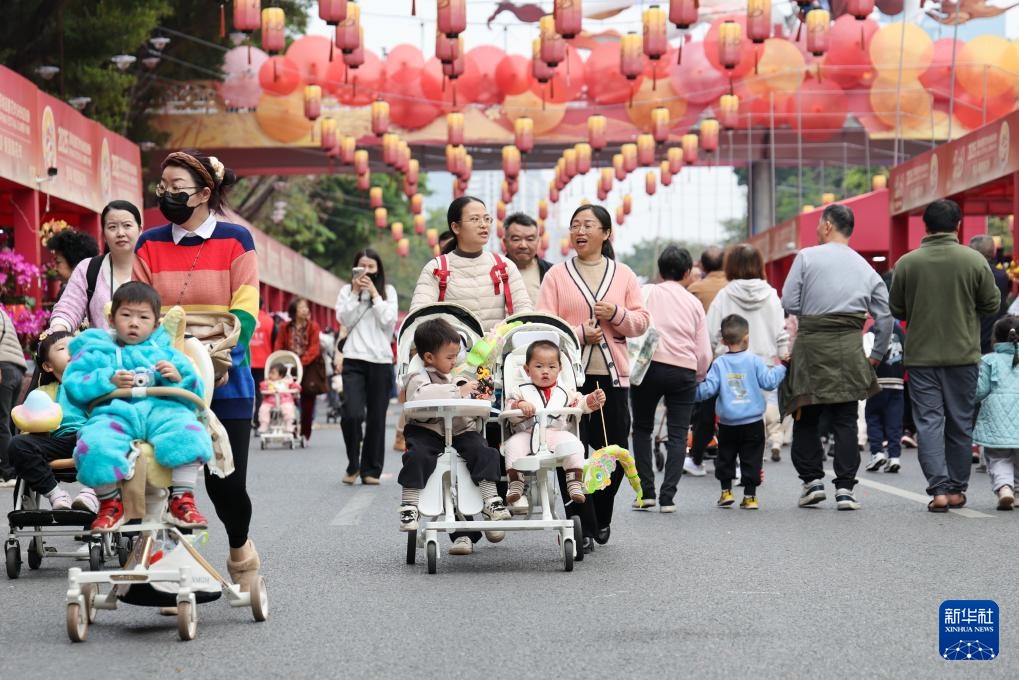 2025深圳迎春花市开市 2025深圳迎春花市开市